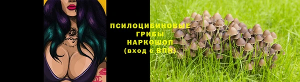 дурь Балахна