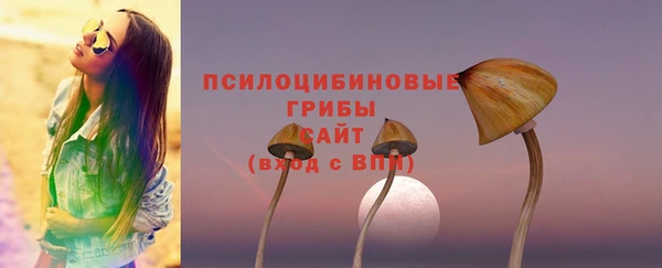 прущие крисы Надым