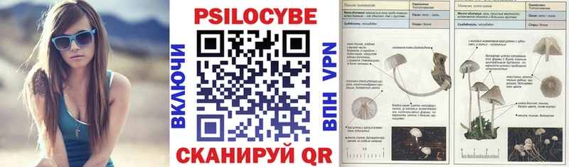где найти наркотики  Ленск  mega ONION  Псилоцибиновые грибы Psilocybe 